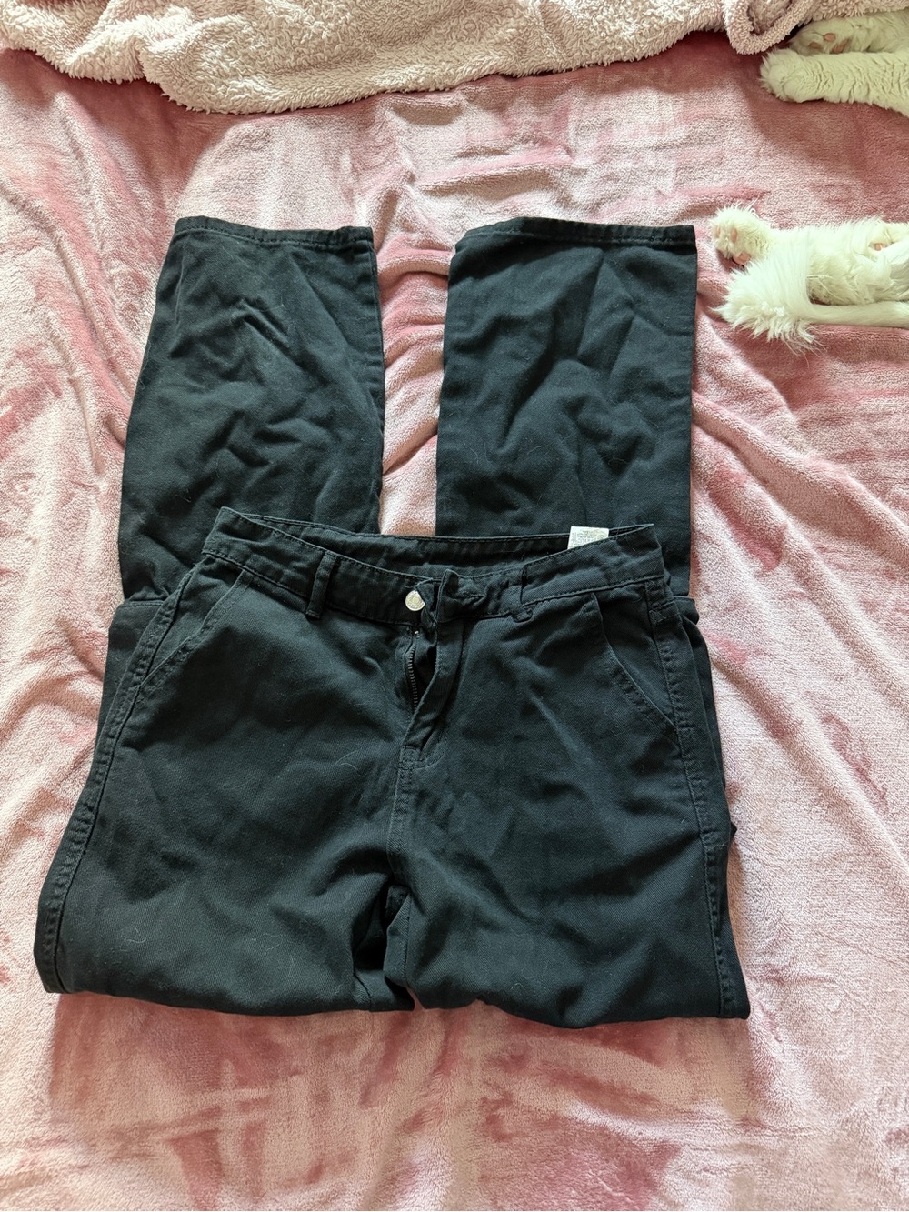 SHEIN black cargo pants size xs